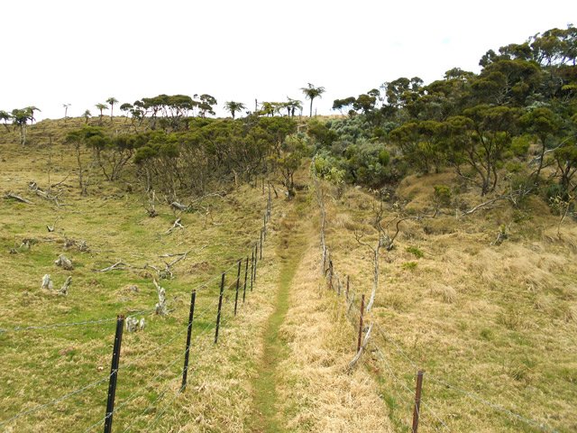 Les premiers barbelés vers le Piton Rouge