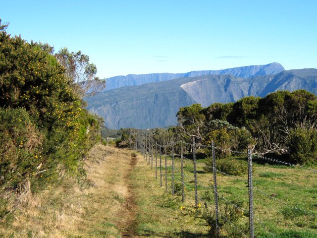 On poursuit, toujours prisonnier des clôtures, non électrifiées !