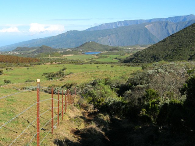 D'interminables prairies et clôtures pour garder les troupeaux