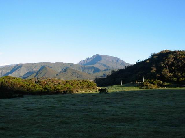Les prairies encore givrées, dominées par le Piton des Neiges