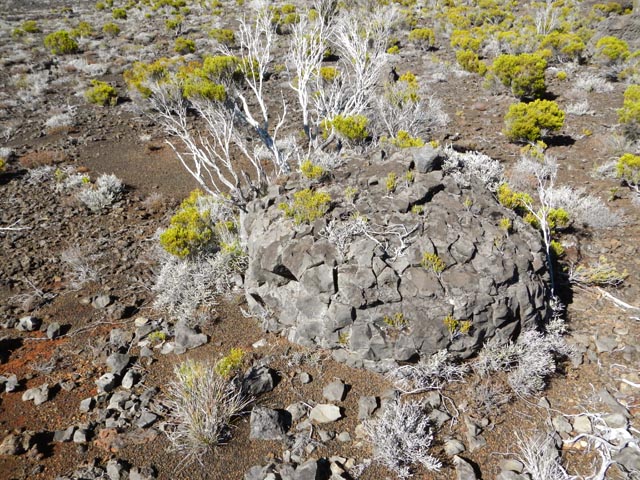 Une grosse bombe volcanique qui se déségrège doucement près de la Griffe du Diable