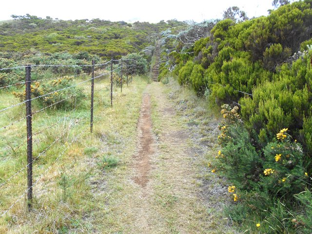 Les prairies sont envahies de branles et d'ajoncs mais les clôtures demeurent