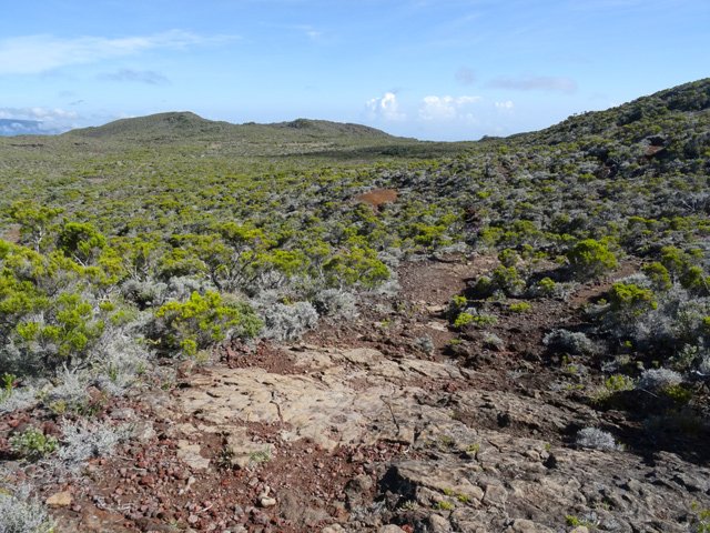 Le large sentier remontant à l'oratoire Ste-Thérèse
