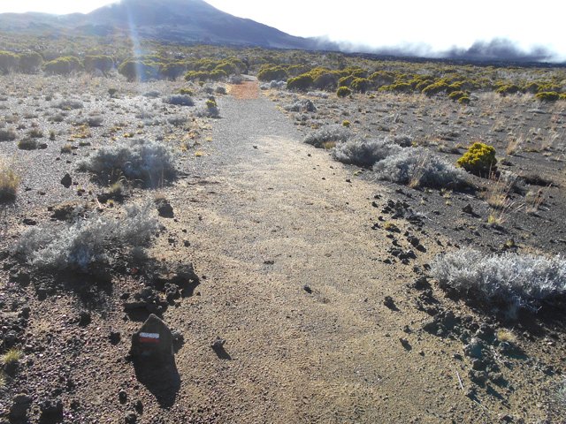 Le sentier devient plat au pied du Piton des Basaltes