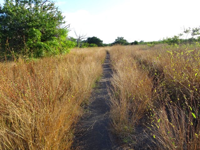 Ancienne piste transformée en sentier