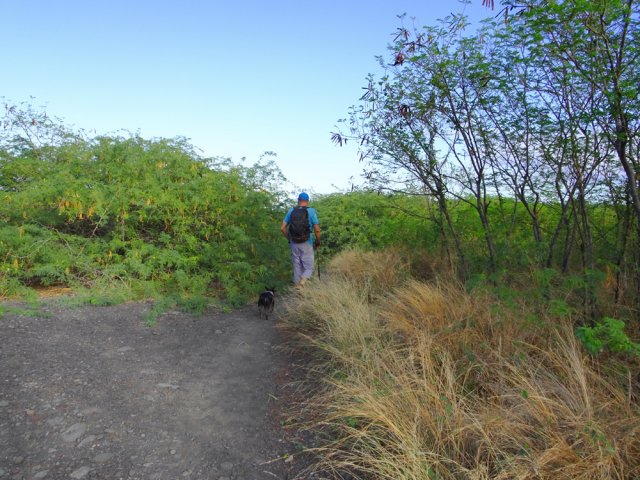 Le sentier entre la station ULM et l'océan