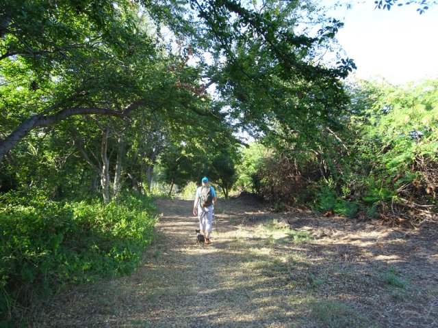 On ne quittera plus guère les larges sentiers