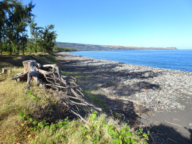 Le sentier frôle parfois la plage de galets avec vues sur le Cap Lahoussaye