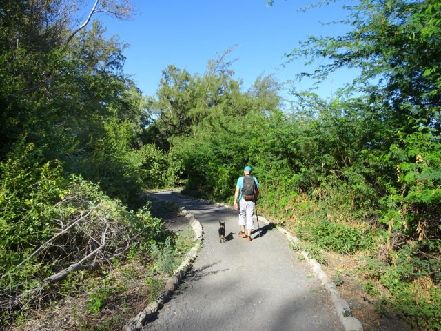 A l'approche de l'étang, les sentiers sont de qualité