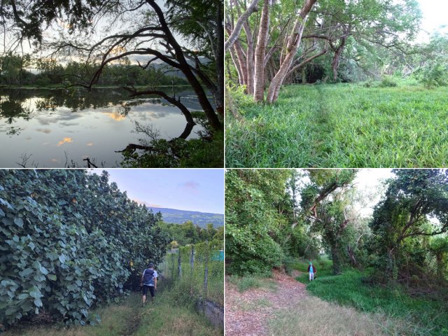 Ce n'est pas une aventure que d'effectuer le tour de l'étang par la Chaussée Royale