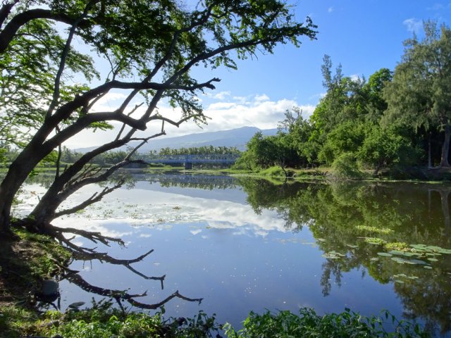 Point de vue sur le pont métallique près de l'estuaire