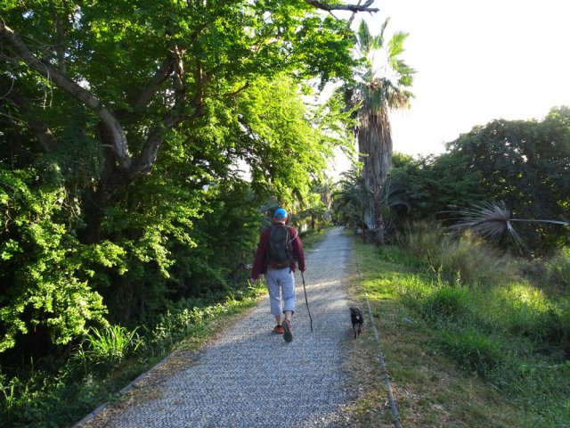 L'ancienne voie de chemin de fer en direction de la Rue Jacquot
