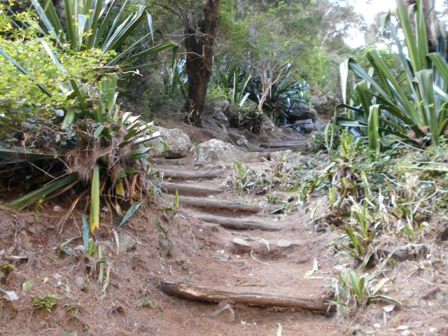 Remontée vers la route par des marches en bois