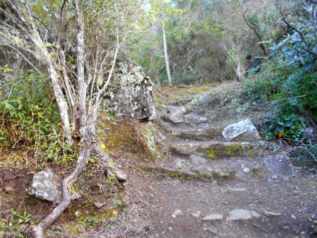 Poursuite de la grimpette sur des marches en pierre