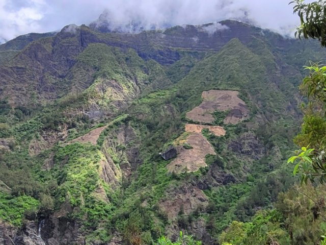 Les flancs du Grand Bénare accueillent des champs de lentilles