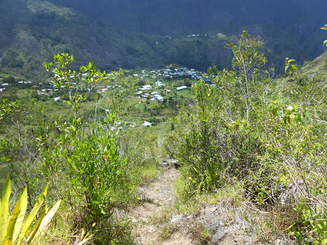 Une idée de la végétation et du sentier dans la montée au Piton Morel