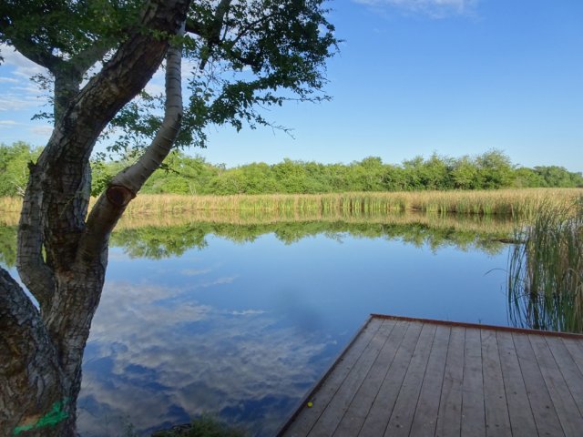 Les pêcheurs de tilapias n'ont pas été oubliés