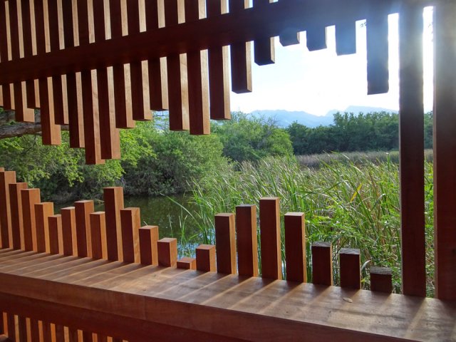 Un observatoire pour les ornithologues amateurs