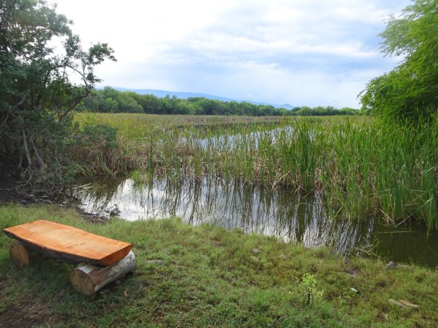 Encore une possibilité de taquiner le tilapia en restant assis