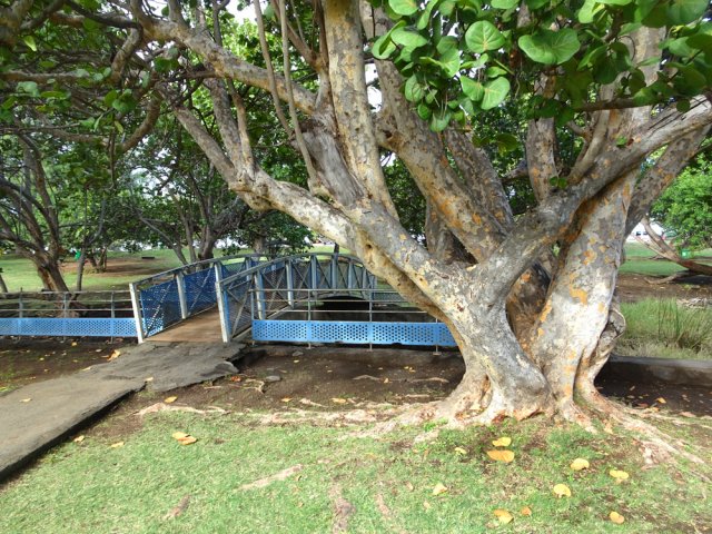 On retrouve les passerelles du départ avant de rejoindre le parking