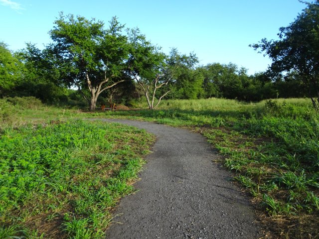 Nouveaux chemins bétonnés pour visiter la zone