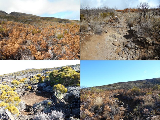 Sentier et paysages lors de la montée au Petit Bénare