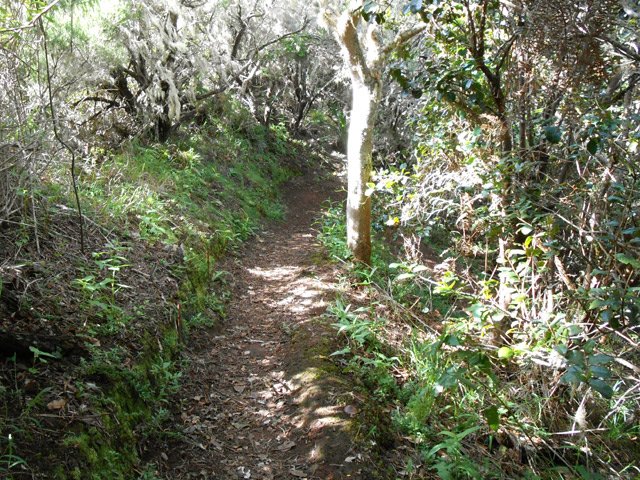 Une autre portion après le Petit Mapou
