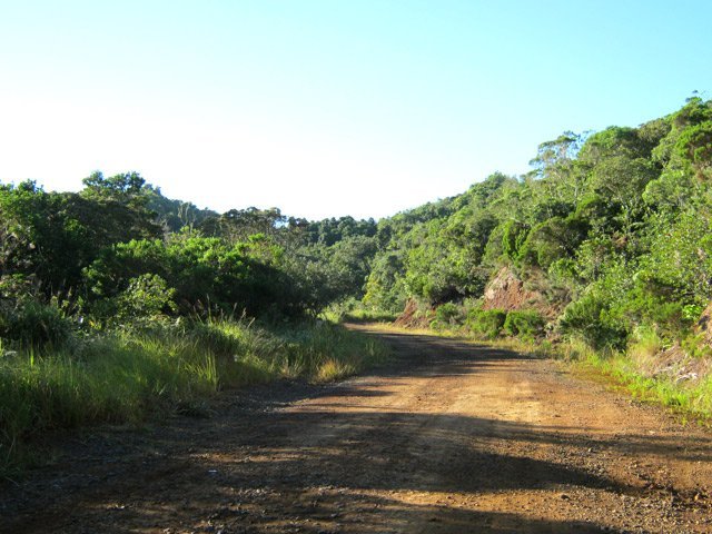 La Piste Forestière de la Plaine d'Affouches, interminable