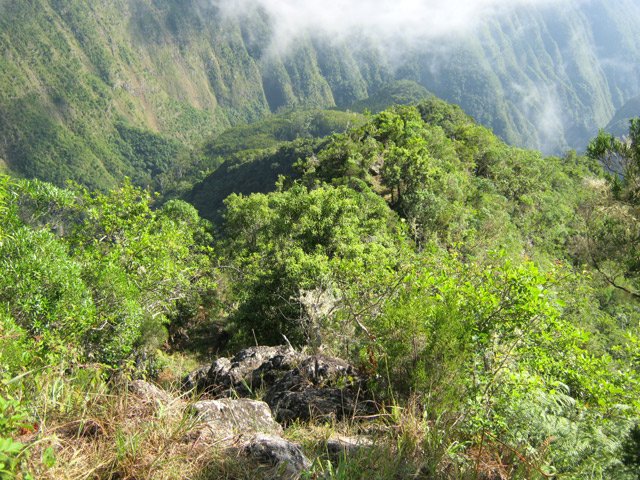 Descente sur la crête en face du Bras Guillaume