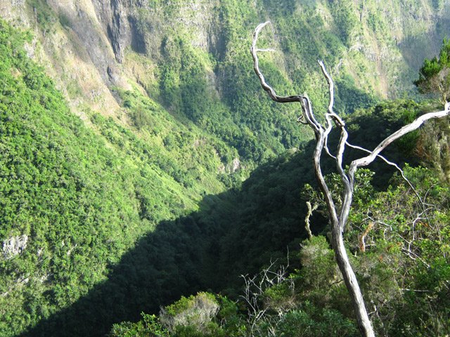 Le Bras Guillaume, en direction de l'Îlet à Guillaume
