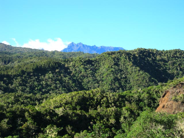 Panorama sur le Gros Morne depuis la piste (ainsi que la Roche Ecrite, à gauche)