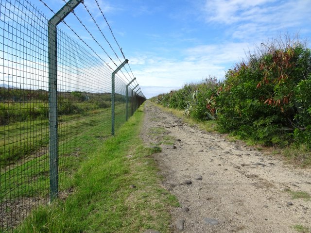 La piste est aussi rectiligne que les poteaux soutenant le grillage