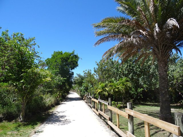 Le dernier chemin de la sortie à travers un parc arboré