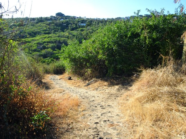 Le sentier plonge vers la Ravine Athanase