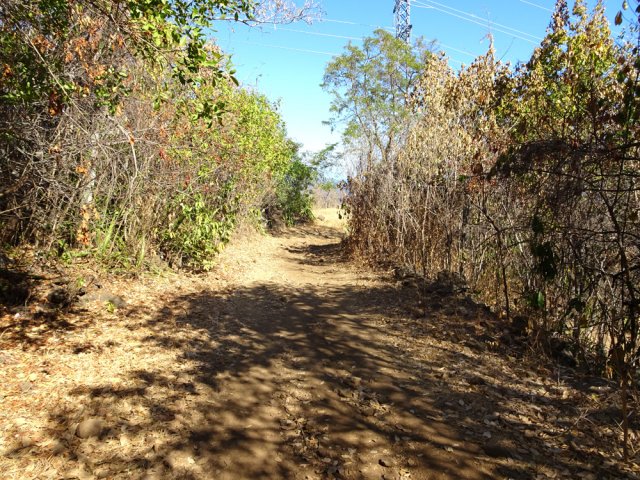 Autre portion de piste assez poussiéreuse