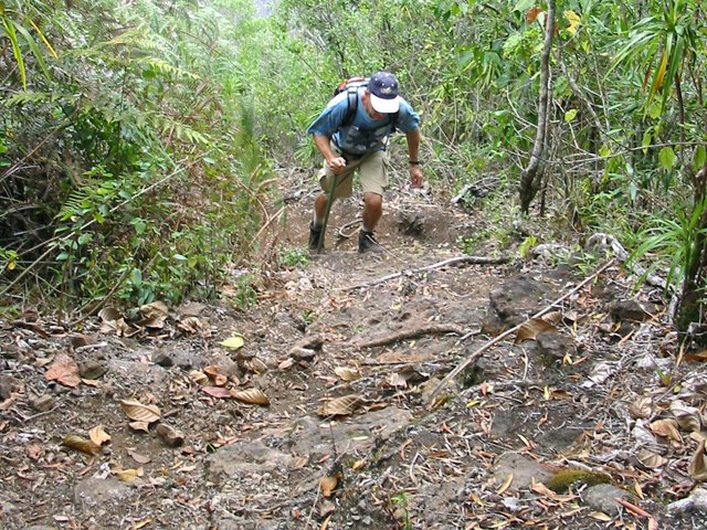 La montée impose de se pencher vers l'avant