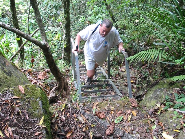 Une échelle en fin d'escaliers bétonnés