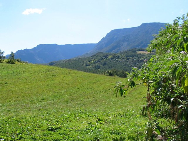 La prairie au départ avec vue sur le Morne Langevin au lever du soleil