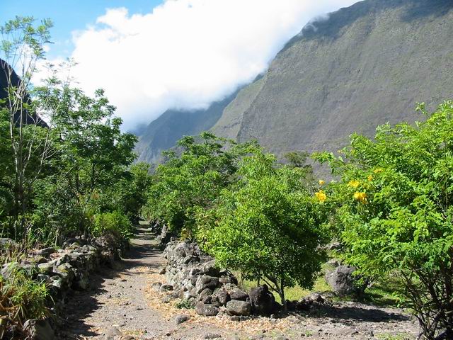 Roche Plate, rue principale