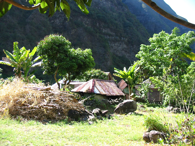 Une case "lontan" qui sert désormais aux animaux