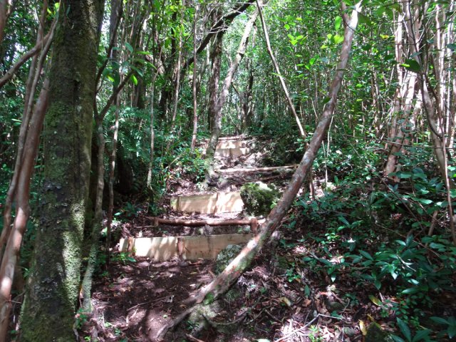 Le début de la forte montée avec des marches