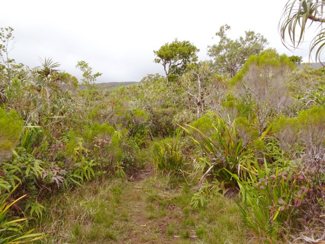 Un tronçon bordé de sabres, branles et pimpins