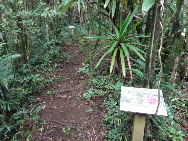 Des panneaux partout pour indiquer le nom des plantes