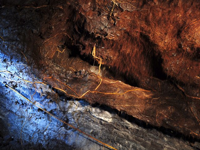 Prendre assez de lumière afin de faire ressortir les couleurs