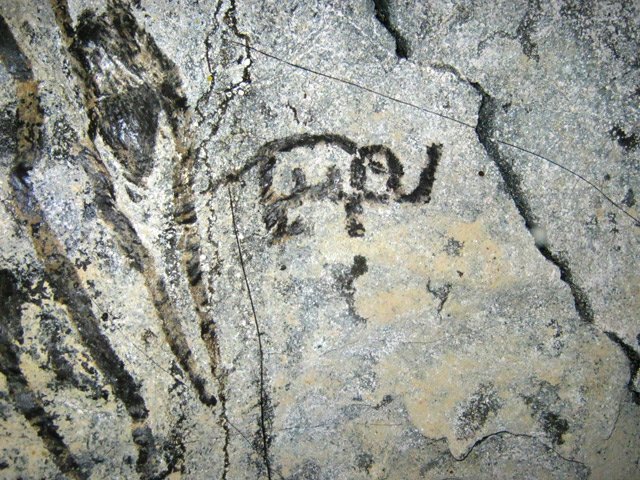 La datation au carbone 14 donne à cette gravure rupestre un âge de moins de 5 ans