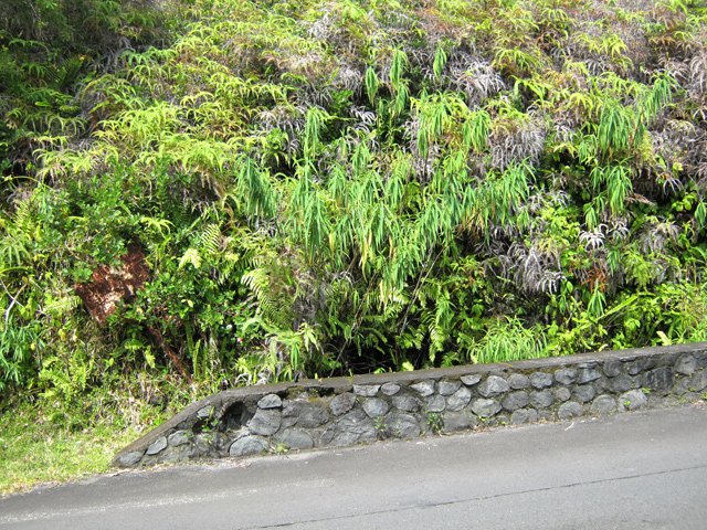 Il faut franchir le muret et descendre d'un mètre pour débuter