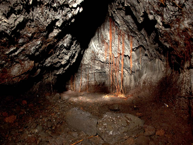 Une très bonne idée du boyau dans sa partie haute