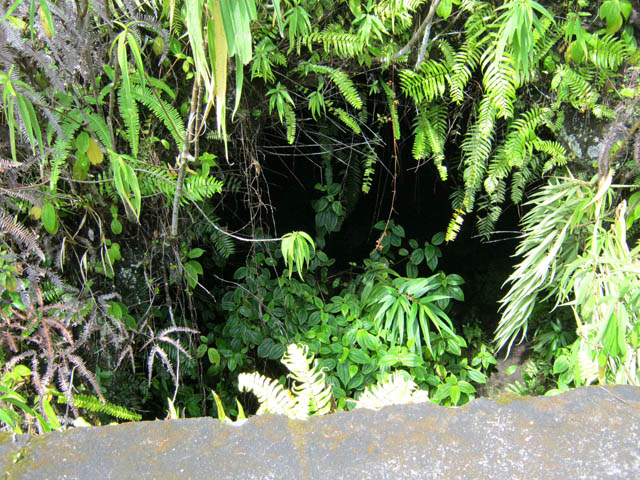 Le tunnel caché par la végétation vu de la route. Point de départ de la balade souterraine
