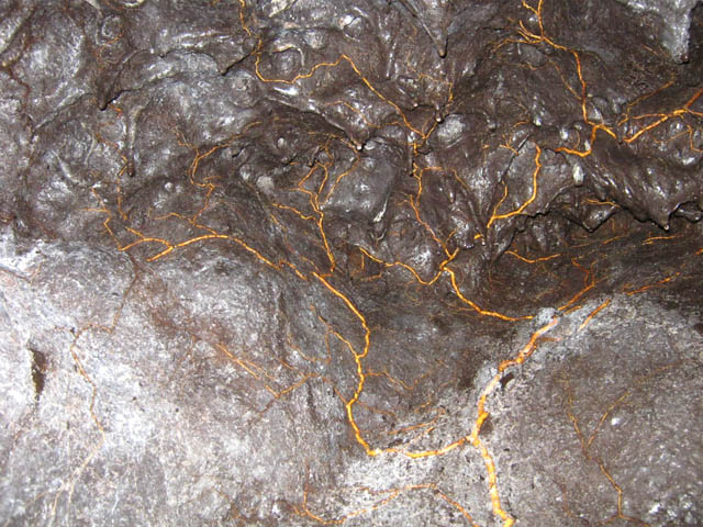 Les racines cherchent l'eau au plafond des grottes