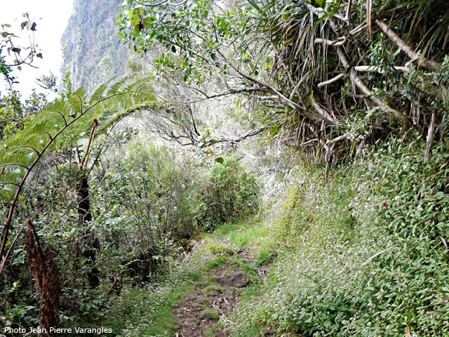 Profiter de ces portions plates, elles sont rares
